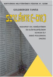 Dr. Goldberger Tamás: Szilánk(-ok)